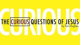 The Curious Questions Of Jesus Luk 12:40 Takia