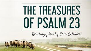 The Treasures of Psalm 23 出埃及记 15:27 当代译本