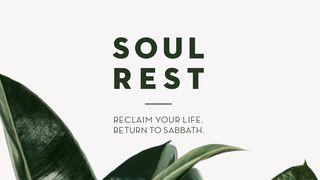 Soul Rest: 7 Days To Renewal Jeremia 6:16 nuBibeln