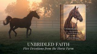 Unbridled Faith San Lucas 17:3 K'iche'