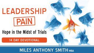 Leadership Pain: Hope In The Midst Of Trials 2 சாமு 16:11-12 இண்டியன் ரிவைஸ்டு வெர்ஸன் (IRV) - தமிழ்