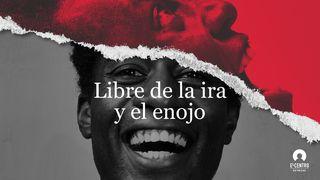 Libre de la ira y el enojo Mateo 21:13 Nueva Versión Internacional - Español