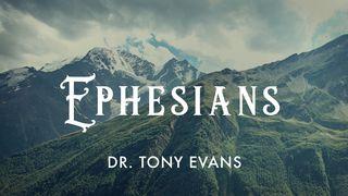 Exposition Of Ephesians - Chapter 1 Philemon 1:7 New Century Version