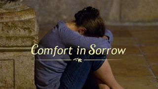 Comfort In Sorrow Jesaja 50:10 Het Boek