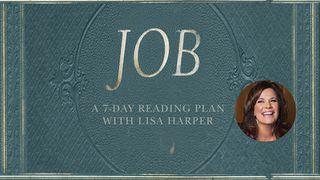 Job - A Story of Unlikely Joy யோபு 8:5-7 பரிசுத்த வேதாகமம் O.V. (BSI)