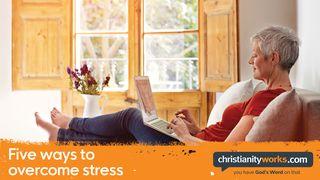 Five Ways to Overcome Stress: A Daily Devotional Luk 12:7 Takia