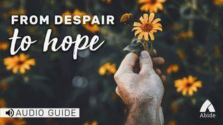 Despair To Hope Romanos 5:3-4 Almeida Revista e Corrigida