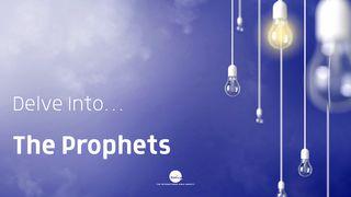 Delve Into The Prophets Micha 1:1 Het Boek