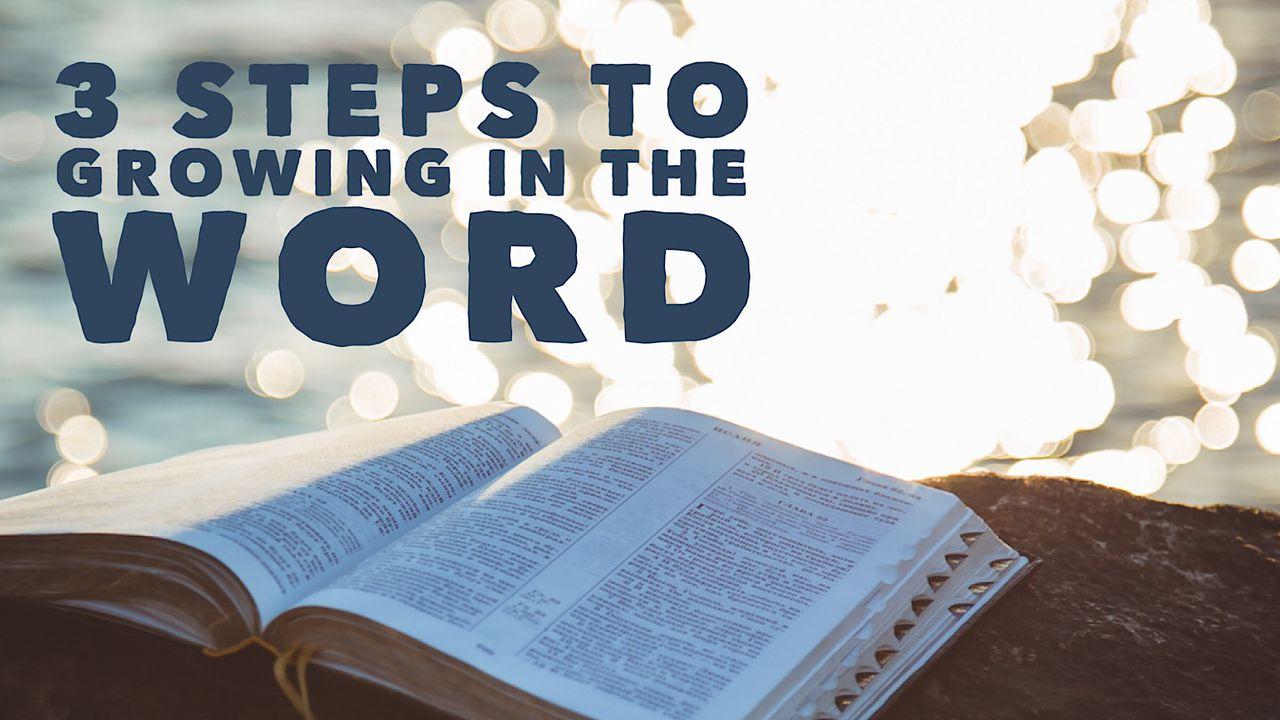 3 Steps To Growing In The Word