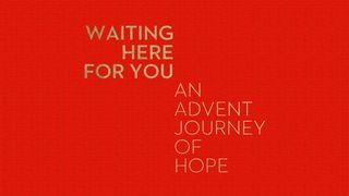 Waiting Here for You, An Advent Journey of Hope De Psalmen 135:13 Statenvertaling (Importantia edition)