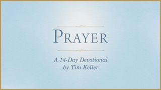 Prayer: A 14-Day Devotional By Tim Keller Job 40:4 Biblia Reina Valera 1960