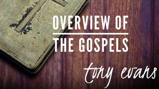 Overview Of The Gospels Markus 1:10-11 Riang