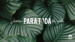 Juntos para toda la vida 1 Corintios 7:1-2 Biblia Dios Habla Hoy