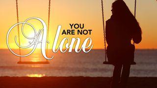 You Are Not Alone De Brief van den Apostel Paulus aan de Hebreën 1:14 Statenvertaling (Importantia edition)