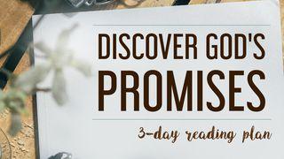 Discover God's Promises! Numeri 23:18-24 Het Boek