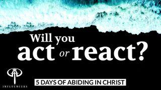 Will You Act Or React? Spreuken 16:24 Het Boek