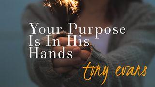 Your Purpose Is In His Hands 1 Corinthians 2:9 The Passion Translation