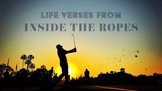 Life Verses From Inside The Ropes   约书亚记 9:14 当代译本