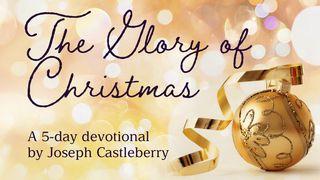 The Glory Of Christmas De Brief van den Apostel Paulus aan Titus 1:15 Statenvertaling (Importantia edition)