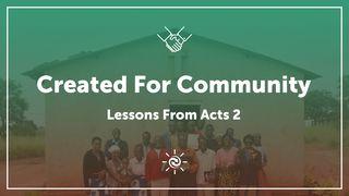 Created For Community: Lessons From Acts 2 1 Petrus 2:5 BasisBijbel