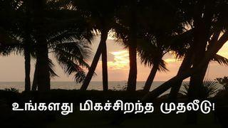 உங்களது மிகச்சிறந்த முதலீடு! மத் 13:8 இண்டியன் ரிவைஸ்டு வெர்ஸன் (IRV) - தமிழ்