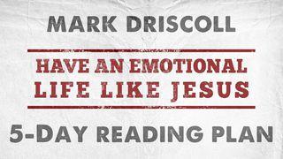 Have An Emotional Life Like Jesus Ioane 1:29 Miriam Mer Gospels 1902