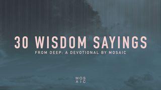 30 Wisdom Sayings Przypowieści Salomonowych 23:24 Biblia Gdańska