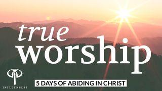 True Worship Luke 19:38-40 English Standard Version Revision 2016