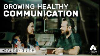 Growing Healthy Communication De Spreuken van Salomo 12:18 Statenvertaling (Importantia edition)