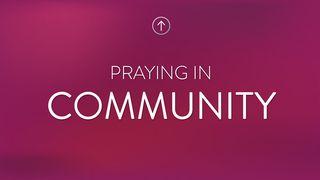 Praying In Community Romanos 15:33 O Livro