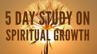 5 Day Study On Spiritual Growth De brief aan de Hebreeën 5:12-13 NBG-vertaling 1951