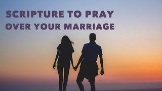 Scripture To Pray Over Your Marriage Sefanja 3:17 NBG-vertaling 1951