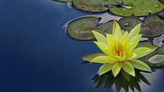 Tranquility Spreuken 22:4 Het Boek