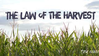 The Law Of The Harvest 2 Corinthians 8:1-9 The Message