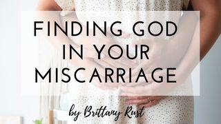 Finding God In Your Miscarriage Job 42:2 New American Standard Bible - NASB 1995