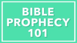 Bible Prophecy 101 Jesaja 46:10-11 Het Boek