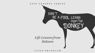 Don’t Be A Fool, Learn From The Donkey - Life Lessons From Balaam Números 22:27 Nueva Versión Internacional - Español