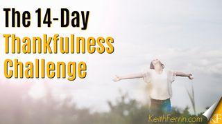 The 14-Day Thankfulness Challenge De Openbaring van Johannes 11:15 NBG-vertaling 1951