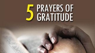 5 Prayers Of Gratitude John 16:7 New International Version