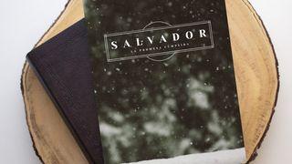 Salvador - La promesa cumplida Mateo 3:3 Nueva Traducción Viviente