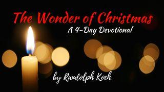 The Wonder of Christmas Matthew 2:12-13 The Message