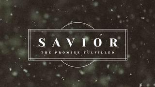 Savior: The Promise Fulfilled Malaki 3:1 Bibel 2000