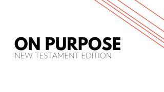 The New Testament On Purpose Romeinen 9:20 Herziene Statenvertaling