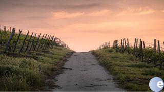 Finding Your Way De Spreuken 5:21 NBG-vertaling 1951