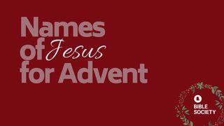 Names Of Jesus For Advent Jesaja 44:8 Het Boek