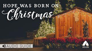 Hope Was Born On Christmas A̱luk 2:14 Abureni