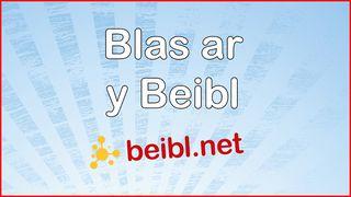 Blas ar y Beibl 2 1 Thesaloniaid 5:16-18 Beibl Cymraeg Newydd Diwygiedig 2004