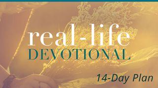 Real-Life Devotions by Lysa TerKeurst Psalm 10:14 Kadede Kap Psam Akan