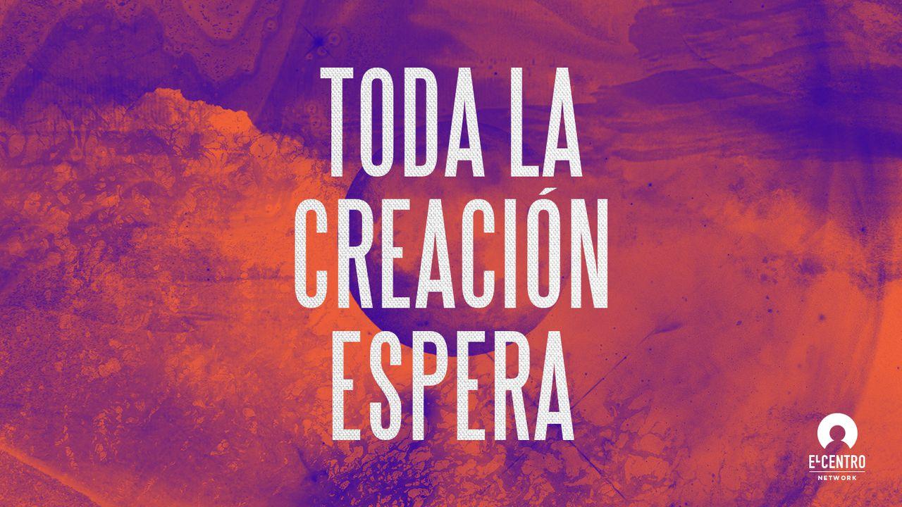 Toda la creación espera