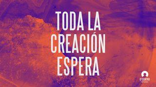 Toda la creación espera 1 Corintios 12:4-5 Traducción en Lenguaje Actual